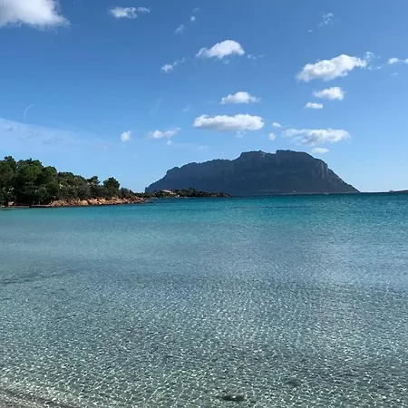 Casa Maestrale - Vista Mare Pittulongu - Sardegna - Iun R2217