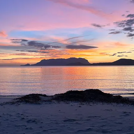بيت للعطل Casa Maestrale - Vista Mare Pittulongu - Sardegna - Iun R2217 أولبيا