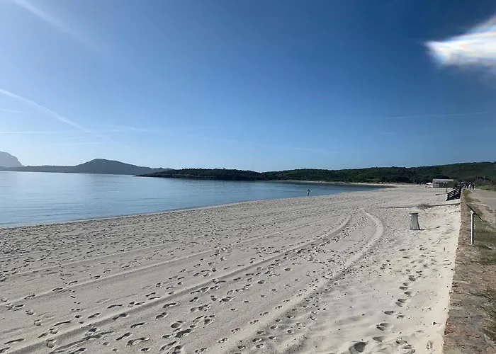 Rosa Dei Venti - Casa Maestrale - Sardegna - Iun R2217 *