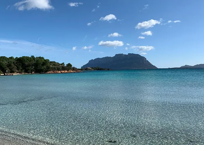 Rosa Dei Venti - Casa Maestrale - Sardegna - Iun R2217