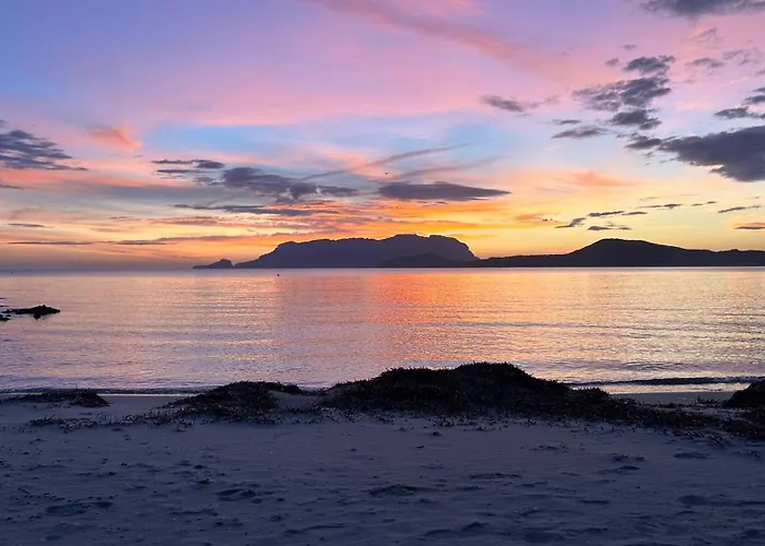 Holiday home Rosa Dei Venti - Casa Maestrale - Sardegna - Iun R2217 Olbia